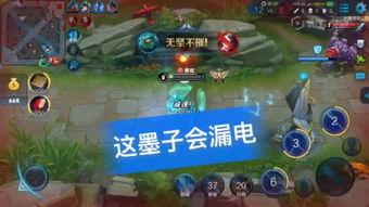 王者荣耀黑熊爆料视频,神秘英雄技能大揭秘